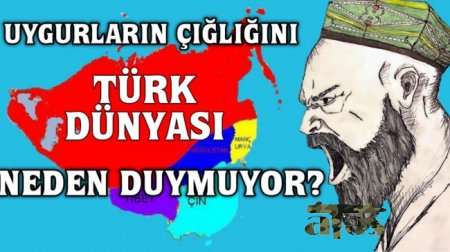 Uygurların çığlığını Türk Dünyası neden duymuyor?