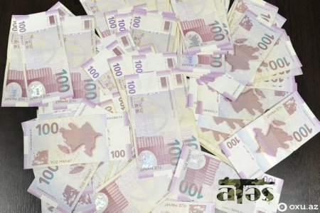 Kiçik və Orta Biznesin İnkişafı Agentliyi maliyyə hesabatını açıqladı