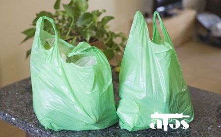 Milli Məclis polietilen torbaların satışına qadağa qoyan layihəni qəbul edib