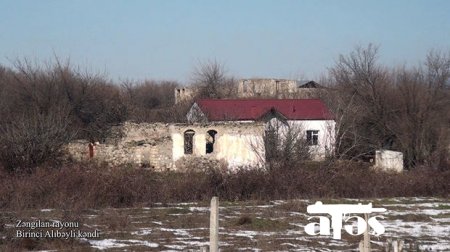 Zəngilanın Birinci Alıbəyli kəndindən görüntülər - VİDEO