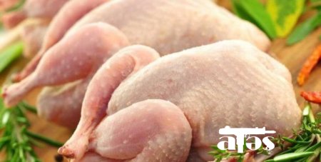 Rusiyadan Azərbaycana gələn məhsulda salmonella aşkarlandı