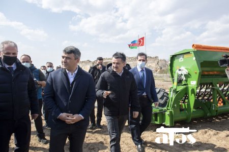 Zəngilan rayonunun Ağalı kəndində Azərbaycan-Türkiyə “Qardaşlıq bağı” salınıb - FOTO