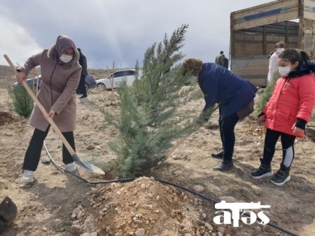 Türkiyədə Azərbaycan şəhidlərinin xatirəsinə ağacəkmə aksiyası keçirildi - FOTO