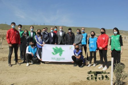 İlham Əliyev yarımstansiyaların açılışında - FOTO