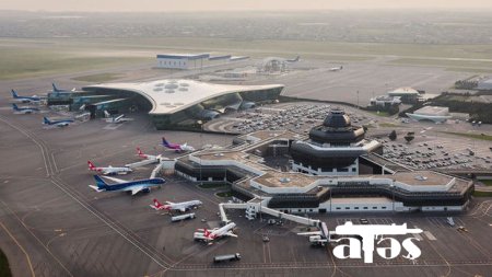 Aeroportda heyvanlara qəddar davranışla bağlı araşdırma başlanıldı