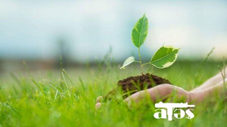 Ümumdünya Ətraf Mühit Günüdür - Azərbaycanda vəziyyət necədir?