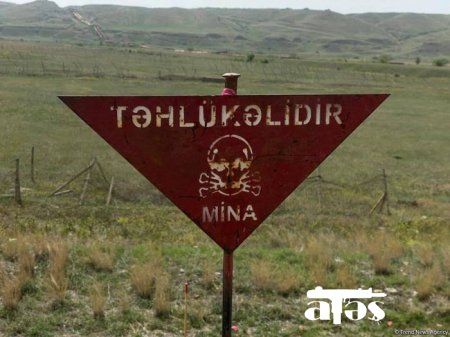 ANAMA-dan mina təhlükəsi ilə bağlı çağırış