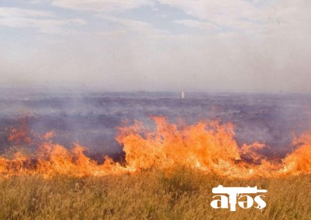 Ermənilər Qazaxla sərhəd ərazidə yanğın törətdi