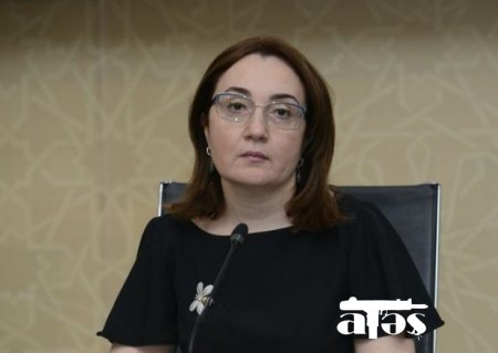 "Bu sahədə müəyyən problemlər var" - Yaqut Qarayeva