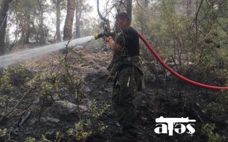 FHN-in qüvvələri Türkiyənin Aydın şəhərinin yaşıllıq zolağındaki yanğını söndürüb