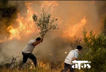 Keçmiş PKK üzvü: “Türkiyədə ağaclara PKK-nın əmrilə od vururlar”