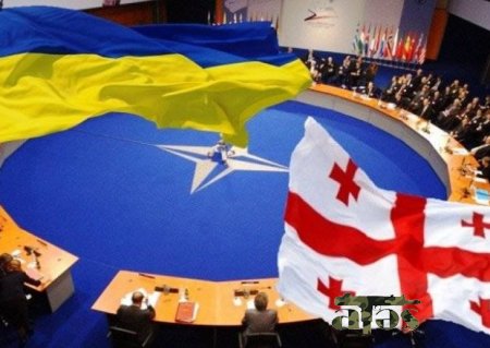 Gürcüstan və Ukrayna NATO-ya üzv olacaq