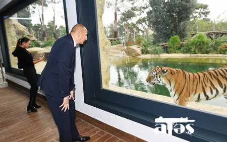 Prezidentlə ailəsi zooparkın açılışında - Fotolar