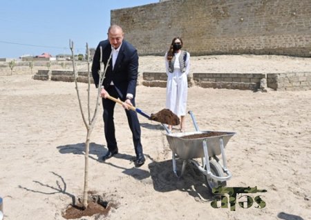 Prezident və xanımı Cıdır düzündə ağac əkiblər