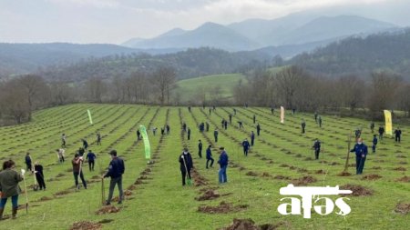 Azərbaycan Türkiyənin aksiyasına qoşulub, 111 min ağac əkiləcək