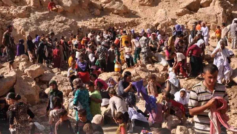 Ermənilər alçaltdıqları yezidiləri "dəyərli" edirlər: Sincar yezidi soyqırımı ilə bağlı layihə