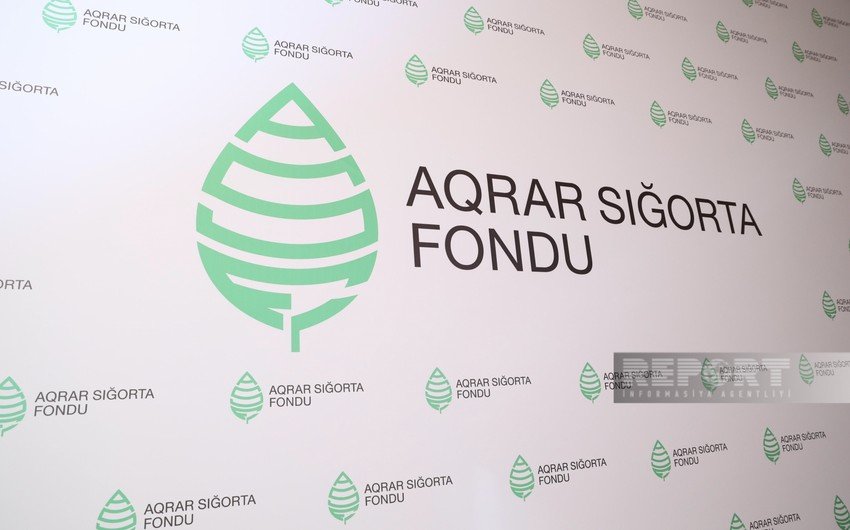 Aqrar Sığorta Fondu heyvanları tələf olan fermerlərə ödənişləri 28 %-dən çox artırıb ASK