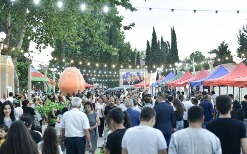 Azərbaycanda I yarımildə Aqrar Biznes festivallarına 7 minə yaxın fermer qatılıb