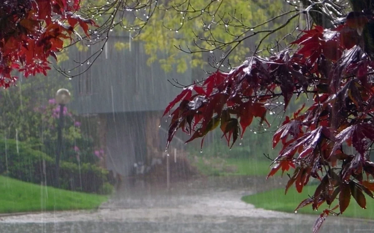 Bəzi yerlərə leysan yağıb, ən yüksək temperatur 36 dərəcə olub - FAKTİKİ HAVA