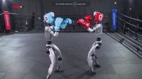Çində insanabənzər robotların boks yarışı keçirildi